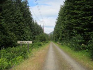 a view of the trail ahead