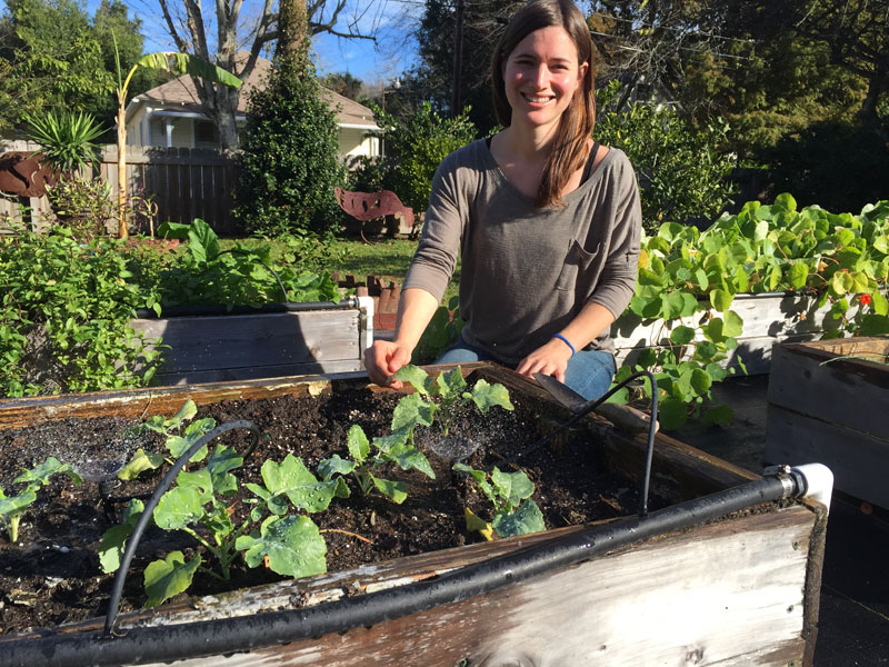 Musings of an urban farmer in his garden. The After-Fifty Adventure Man